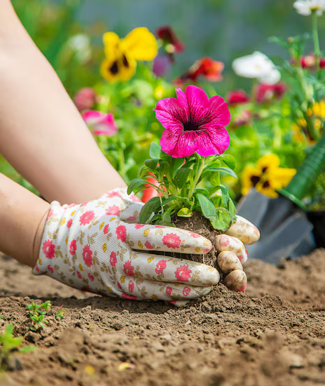 Team working with plants