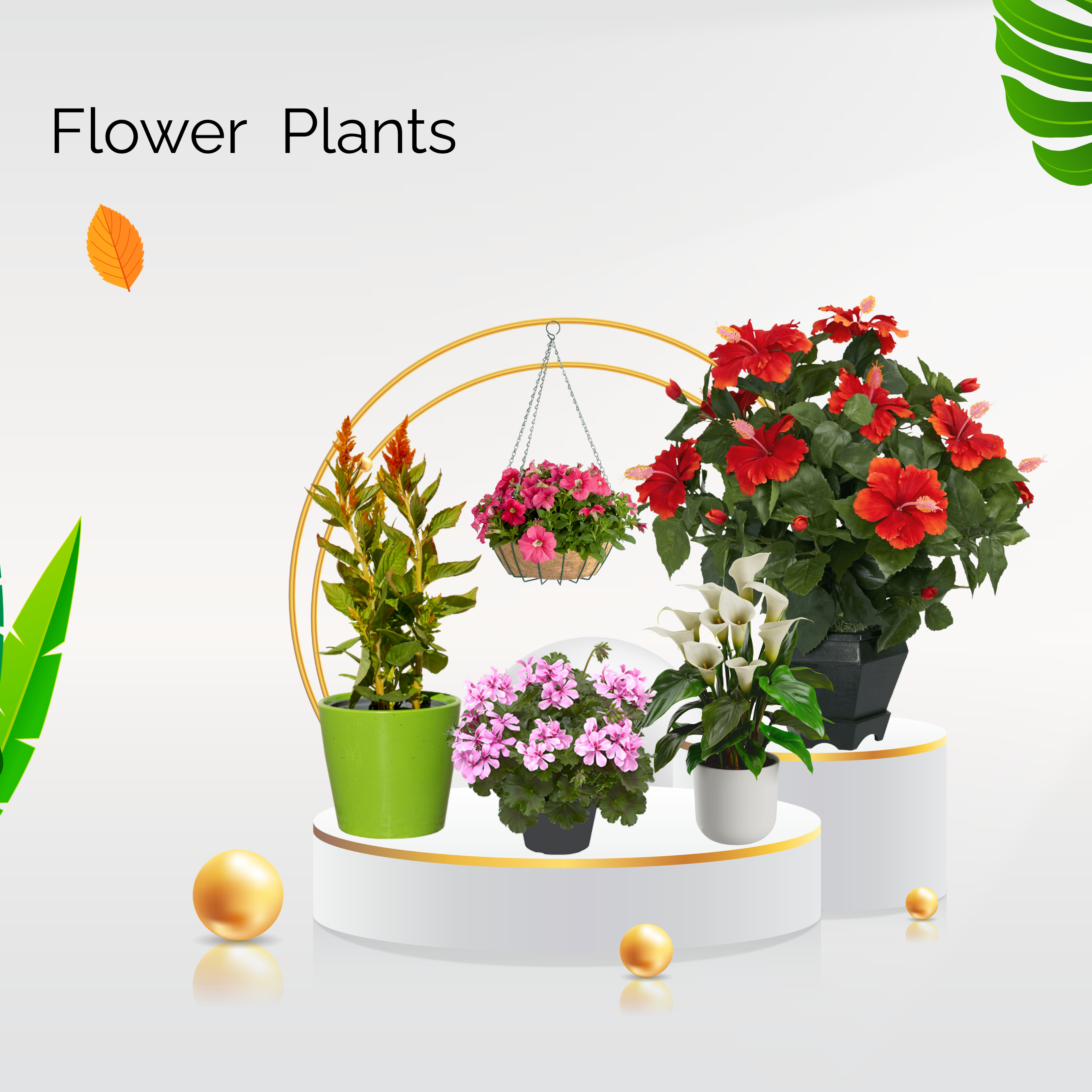 Flowering plants